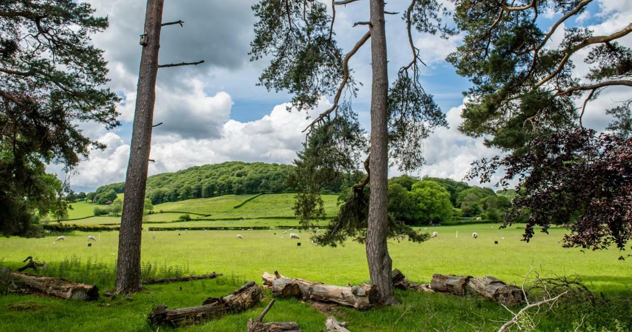 Bed and Breakfast Swn Y Coed Llanwrtyd Wells Екстер'єр фото